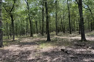 7354 Farm Road 412, Clarksville, TX 75426 - Photo 35