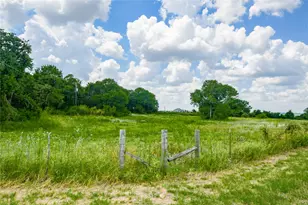 1255 Co Rd 330, Rainbow, TX 76077 - Photo 7