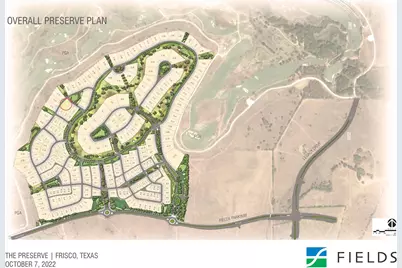 331 Mary Margaret Street, Frisco, TX 75033 - Photo 11