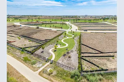 331 Mary Margaret Street, Frisco, TX 75033 - Photo 15