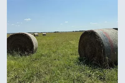 Lot 12 Cr, Marlin, TX 76661 - Photo 3