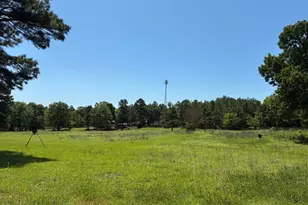 450 Vz County Road 4814, Ben Wheeler, TX 75754 - Photo 5