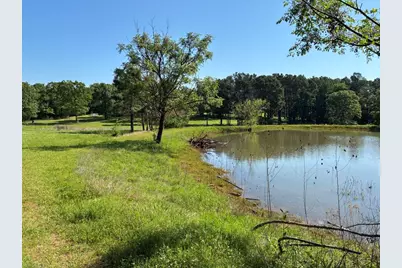 450 Vz County Road 4814, Ben Wheeler, TX 75754 - Photo 3