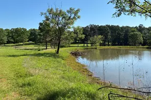 450 Vz County Road 4814, Ben Wheeler, TX 75754 - Photo 3