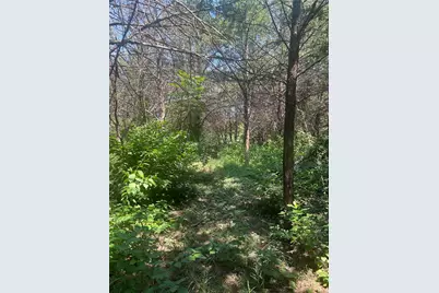 Tbd Hcr 1335, Hillsboro, TX 76645 - Photo 13