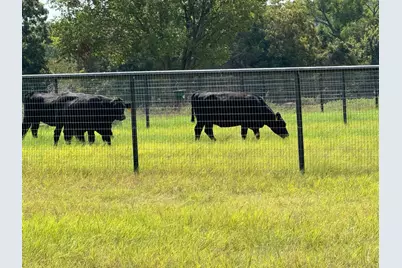 8690 E Fm 922 Highway, Valley View, TX 76272 - Photo 21