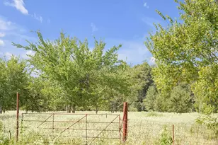 2675 Co Rd 1165, Brashear, TX 75420 - Photo 21