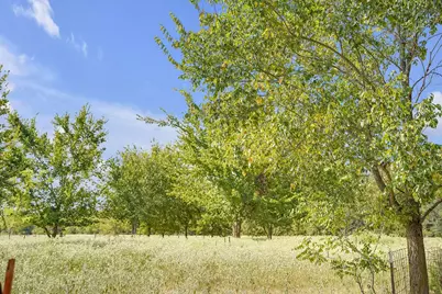 2675 County Road 1165, Brashear, TX 75420 - Photo 25