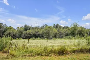 2675 Co Rd 1165, Brashear, TX 75420 - Photo 19