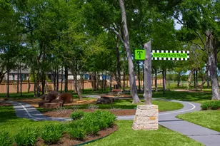 813 Lost Woods Way, McKinney, TX 75071 - Photo 17