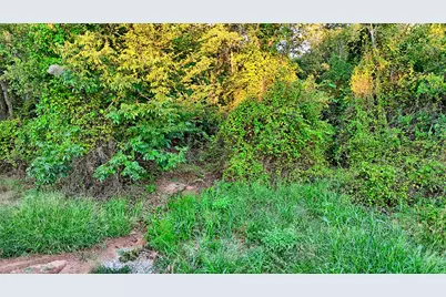 Lot 34 Red Oak Hills Road, Nocona, TX 76255 - Photo 7