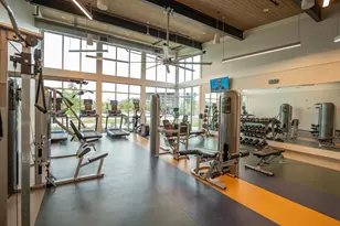 237 Bee Balm Rd, McKinney, TX 75071 - Photo 27