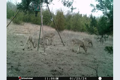 926 Cr-3211, Dodd City, TX 75438 - Photo 3