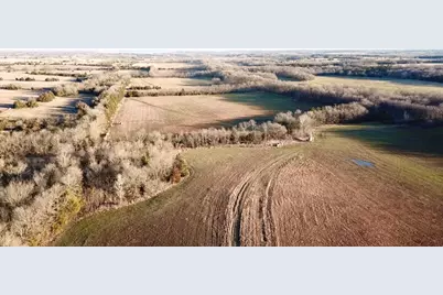 926 Cr-3211, Dodd City, TX 75438 - Photo 11