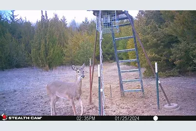 926 Cr-3211, Dodd City, TX 75438 - Photo 5