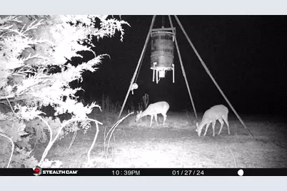 926 Cr-3211, Dodd City, TX 75438 - Photo 9