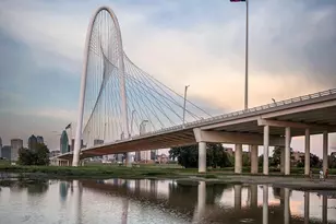 3338 Falls Dr, Dallas, TX 75211 - Photo 19