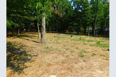 Tbd Sherwood Circle, Quinlan, TX 75474 - Photo 13