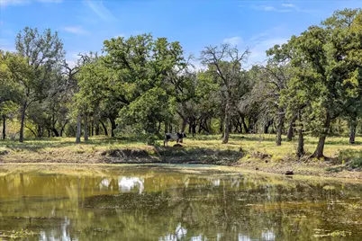 11230 Light Road, Lipan, TX 76462 - Photo 3