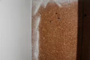 1503 Eilenstein St, Palestine, TX 75801 - Photo 11