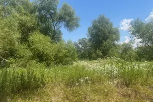 455 Fm 71, Commerce, TX 75428 - Photo 19