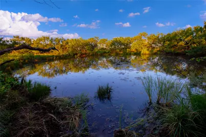 120 Mountain Drive, Graford, TX 76449 - Photo 19