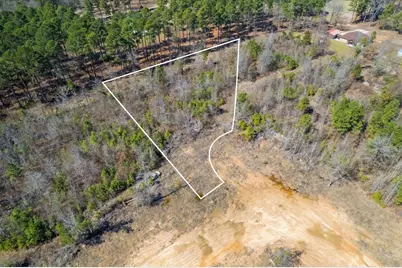 Lot 3 Piney Lane, Pittsburg, TX 75686 - Photo 1