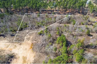 Lot 3 Piney Lane, Pittsburg, TX 75686 - Photo 3