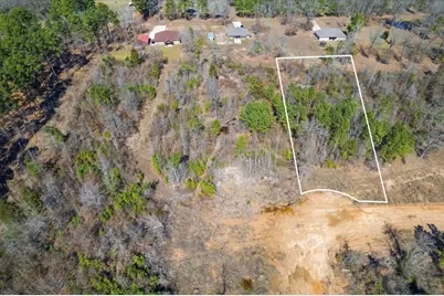 Lot 5 Piney Lane, Pittsburg, TX 75686 - Photo 3