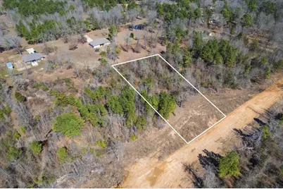 Lot 6 Piney Lane, Pittsburg, TX 75686 - Photo 3