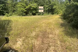 649 An County Road 1215, Grapeland, TX 75844 - Photo 15