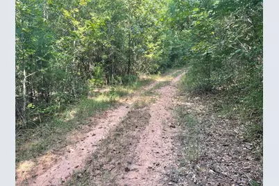 649 An County Road 1215, Grapeland, TX 75844 - Photo 13