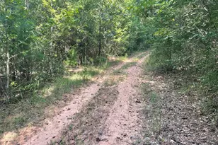 649 An County Road 1215, Grapeland, TX 75844 - Photo 13