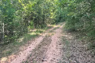 649 An County Road 1215, Grapeland, TX 75844 - Photo 13