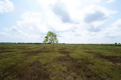 1901 Hunsucker Road, Red Oak, TX 75152 - Photo 15