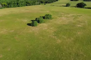 15223 Cr 188, Bullard, TX 75757 - Photo 5