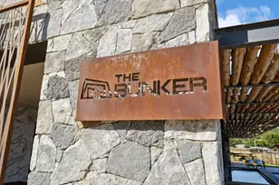 3 Blushing Bride, Graford, TX 76449 - Photo 31