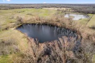 3366 Co Rd 4762, Sulphur Springs, TX 75482 - Photo 13