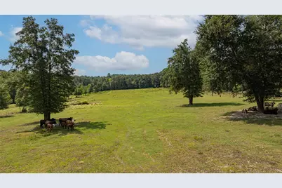 10660 State Highway 154 E, Diana, TX 75640 - Photo 37