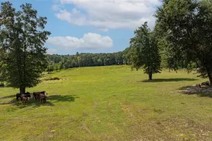 10660 State Hwy 154 E, Diana, TX 75640 - Photo 37