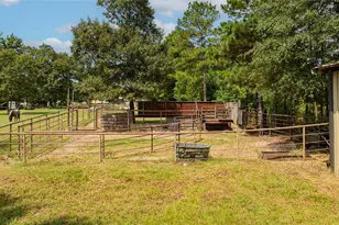 10660 State Hwy 154 E, Diana, TX 75640 - Photo 39