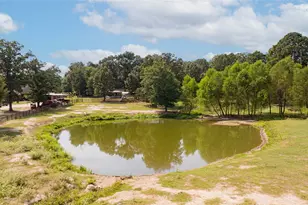 10660 State Hwy 154 E, Diana, TX 75640 - Photo 9