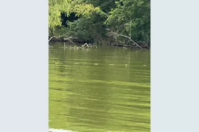 Lot 10 Vz County Road 3732, Wills Point, TX 75169 - Photo 3