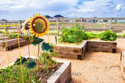 1108 Lakeview Lane, Northlake, TX 76226 - Photo 37