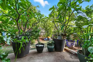 7310 Gillon Dr, Rowlett, TX 75089 - Photo 39