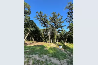 3242 Shadow Pine Drive, LaRue, TX 75770 - Photo 5