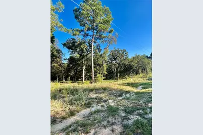 3226 Shadow Pine Drive, LaRue, TX 75770 - Photo 7