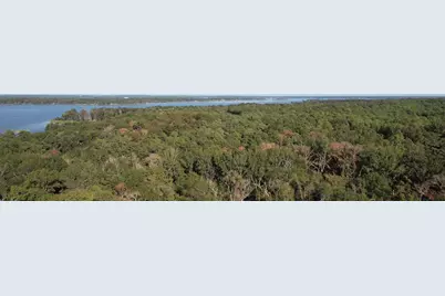 3226 Shadow Pine Drive, LaRue, TX 75770 - Photo 3