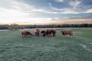 4081 Fm 2736, Campbell, TX 75422 - Photo 1