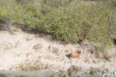 4081 Fm 2736 #A, Campbell, TX 75422 - Photo 7